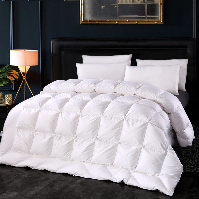 New B&B Hotel Duvet Multi-dimensional Space 120 Tribute Satin 95% White Goose Down Quilt Double Single Quilt Core Winter Quilt