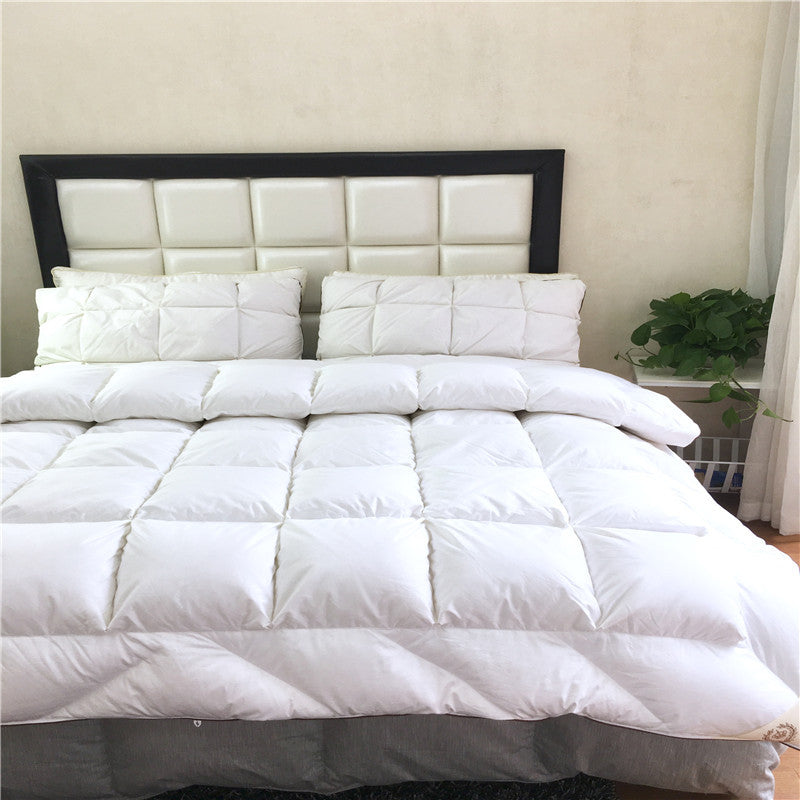 New B&B Hotel Duvet Multi-dimensional Space 120 Tribute Satin 95% White Goose Down Quilt Double Single Quilt Core Winter Quilt